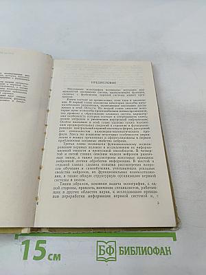 Функциональное моделирование нервной системы