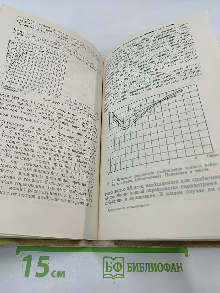 Функциональное моделирование нервной системы