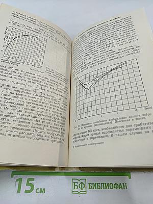 Функциональное моделирование нервной системы