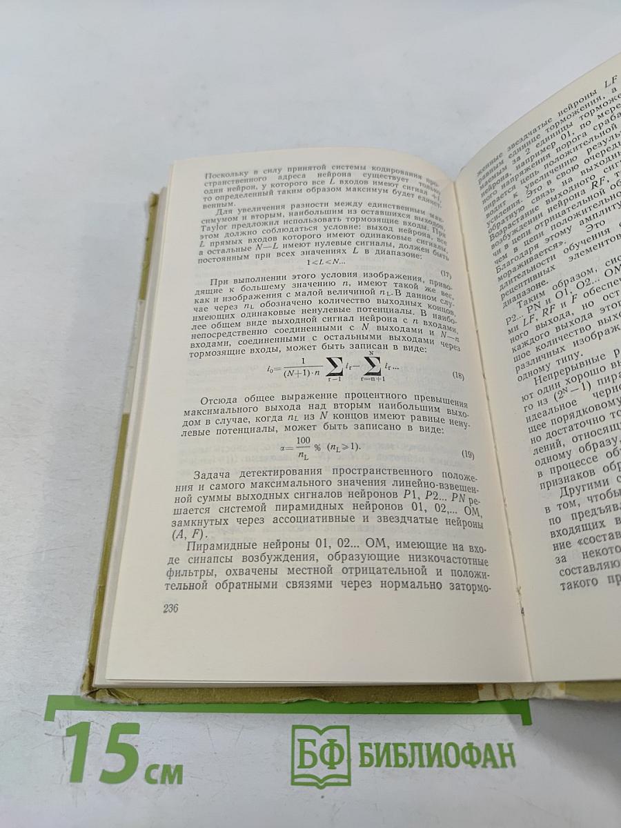 Функциональное моделирование нервной системы