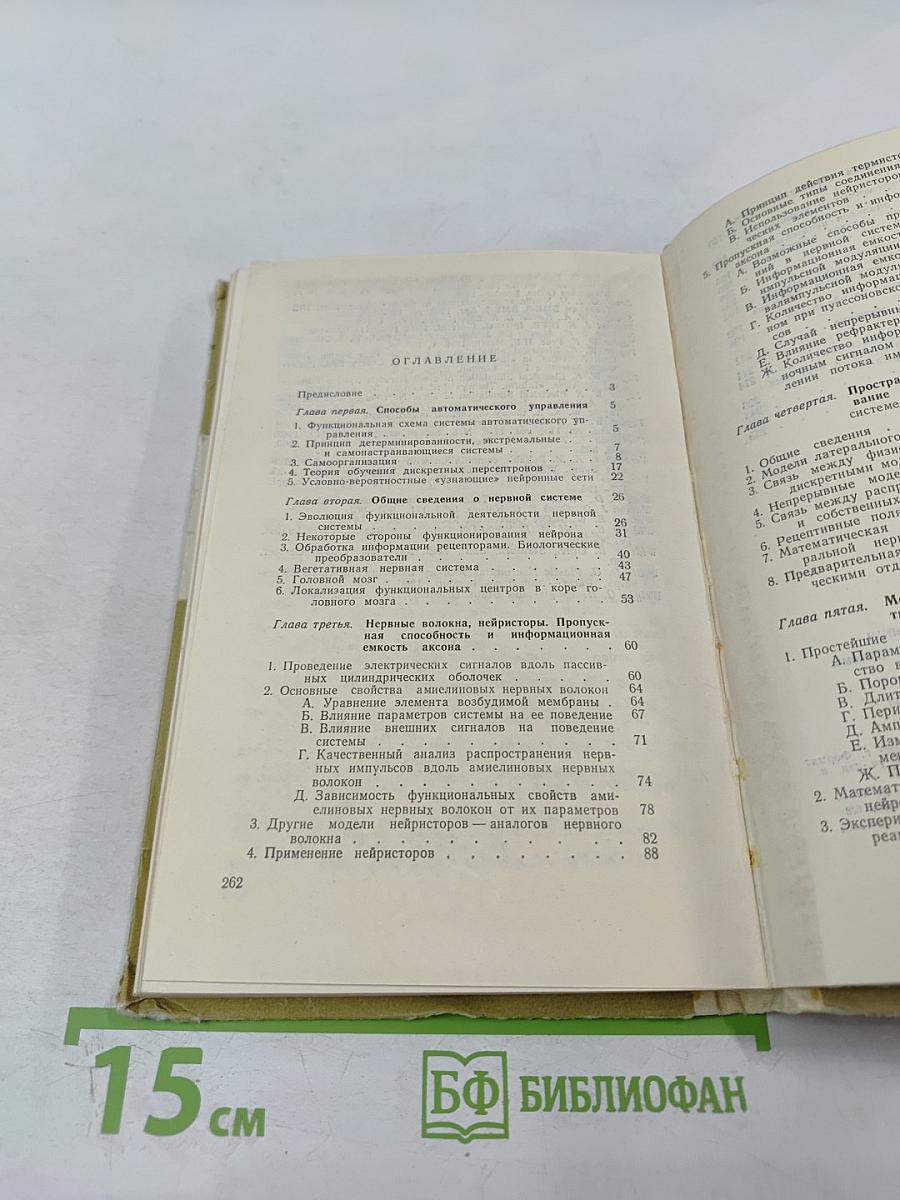 Функциональное моделирование нервной системы