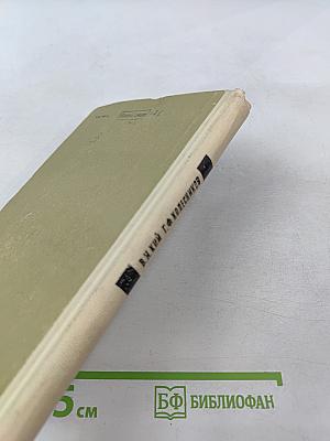 Функциональное моделирование нервной системы