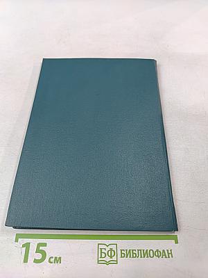 Нейрональные механизмы боли