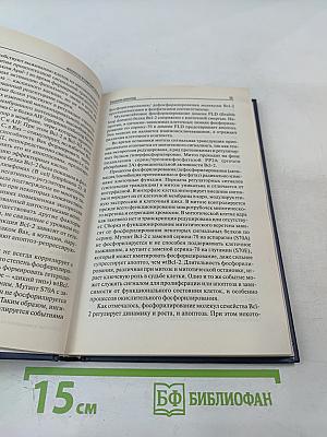 Апоптоз в онкоурологии