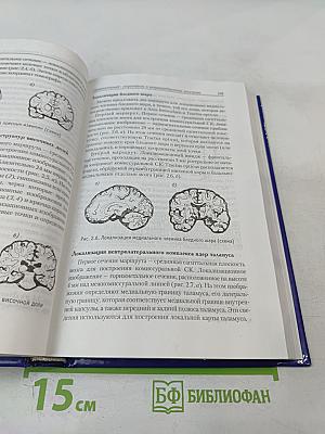 Лечебная электрическая стимуляция мозга и нервов человека