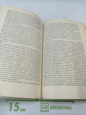 Иммуногенез, гемостаз и неспецифическая резистентность организма