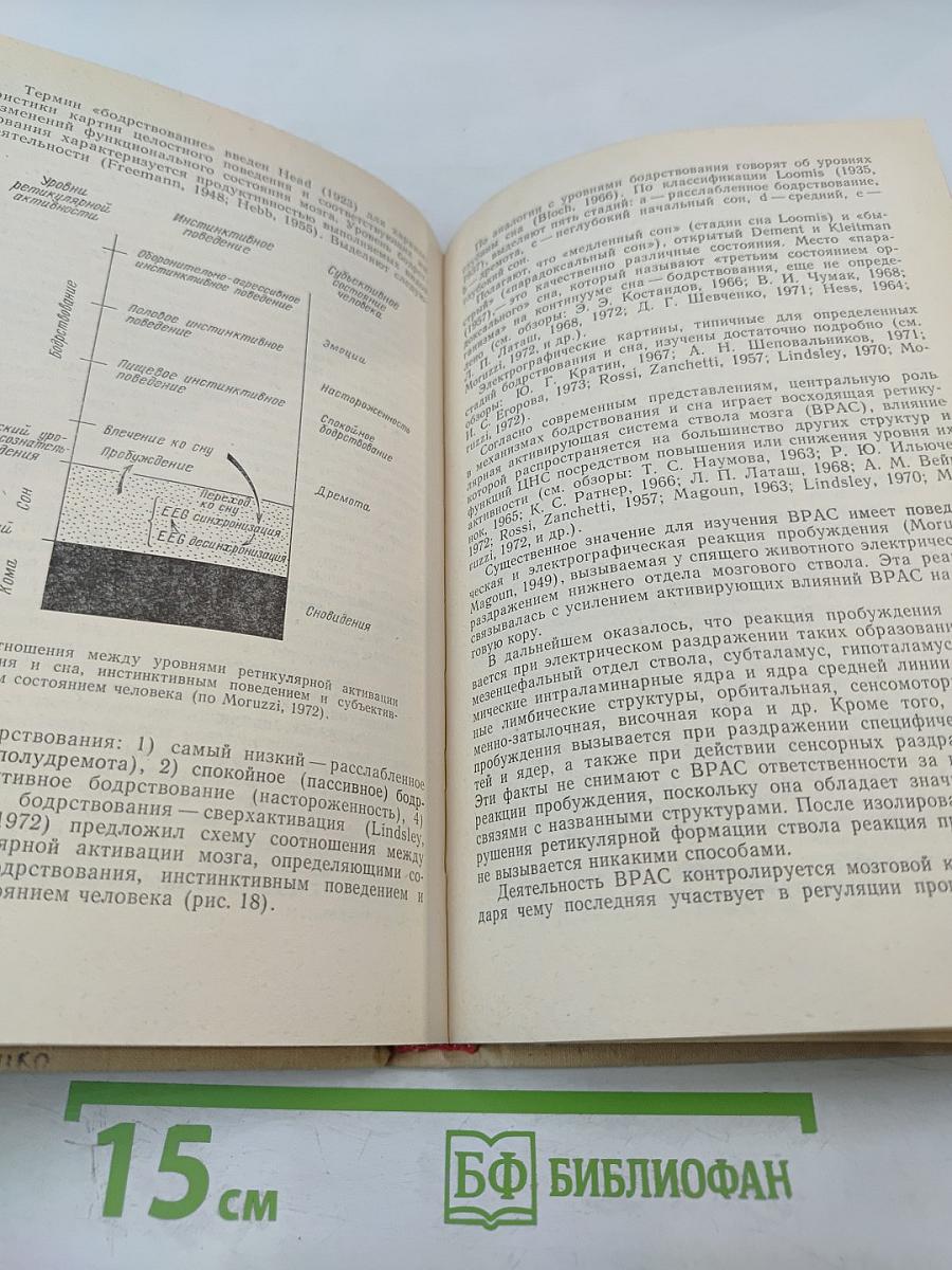 Стереотаксическая неврология