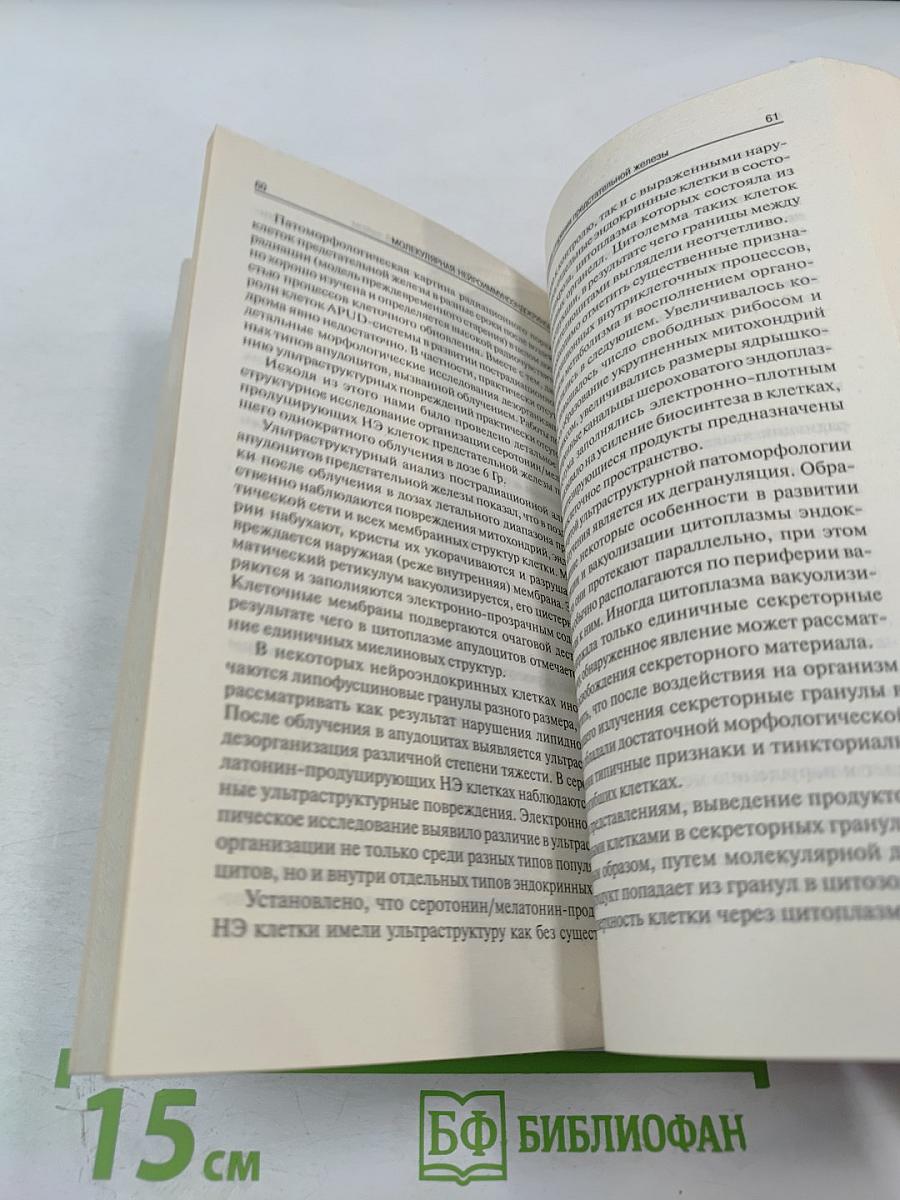 Нейроиммуноэндокринология мужской половой системы, плаценты и эндометрия