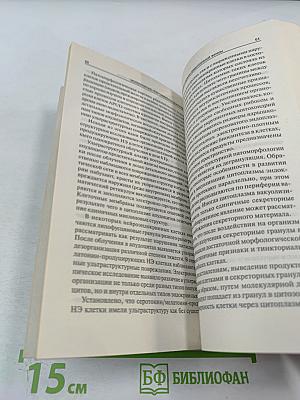 Нейроиммуноэндокринология мужской половой системы, плаценты и эндометрия