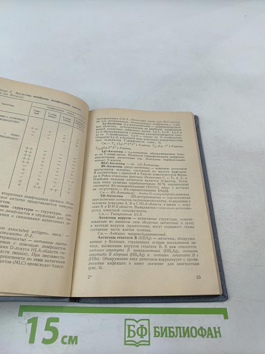 Иммунология: Словарь