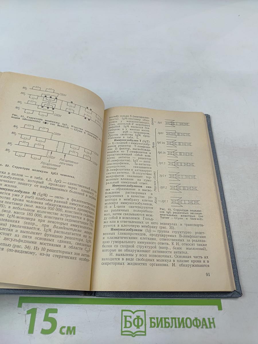 Иммунология: Словарь