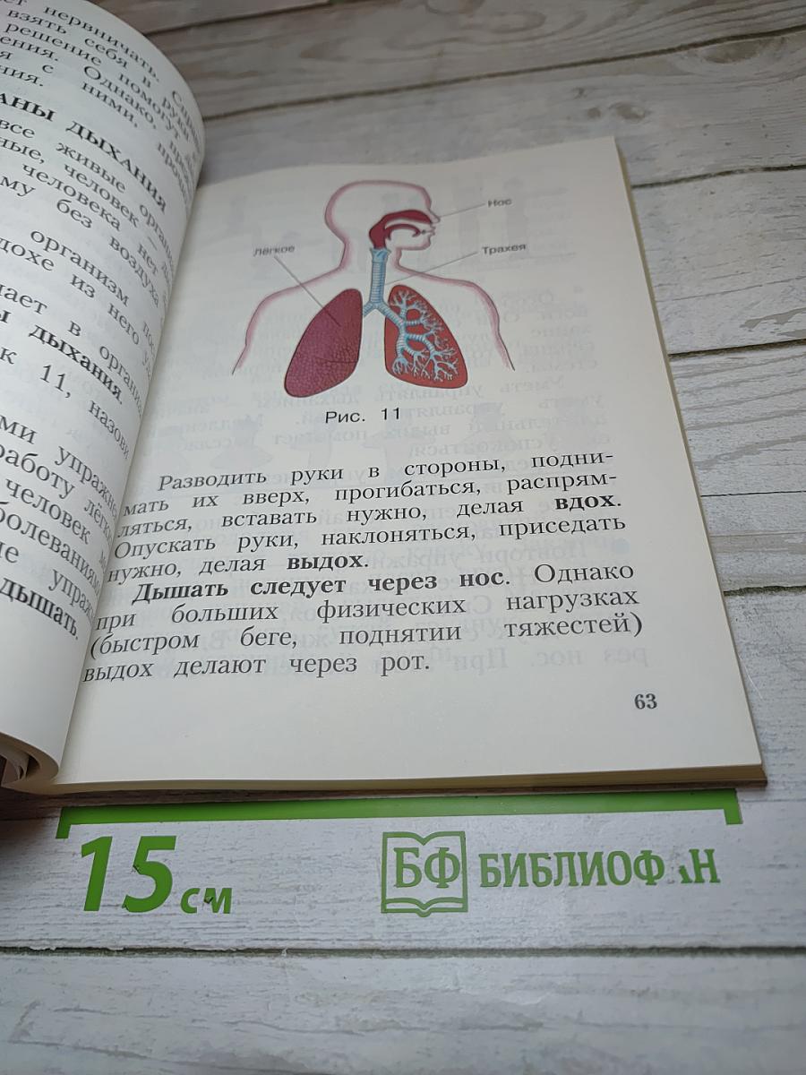 Физическая культура 1-4 классы