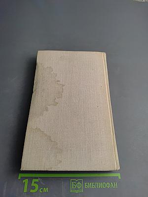 Ночью на белых конях