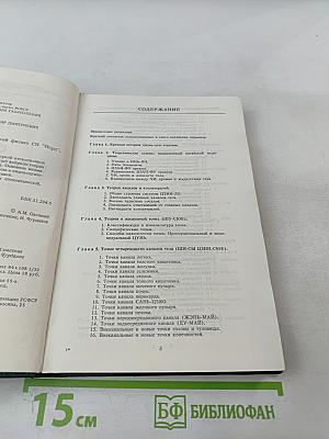 Основы Чжень-Цзю терапии