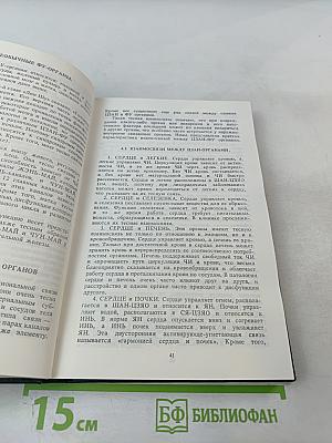 Основы Чжень-Цзю терапии