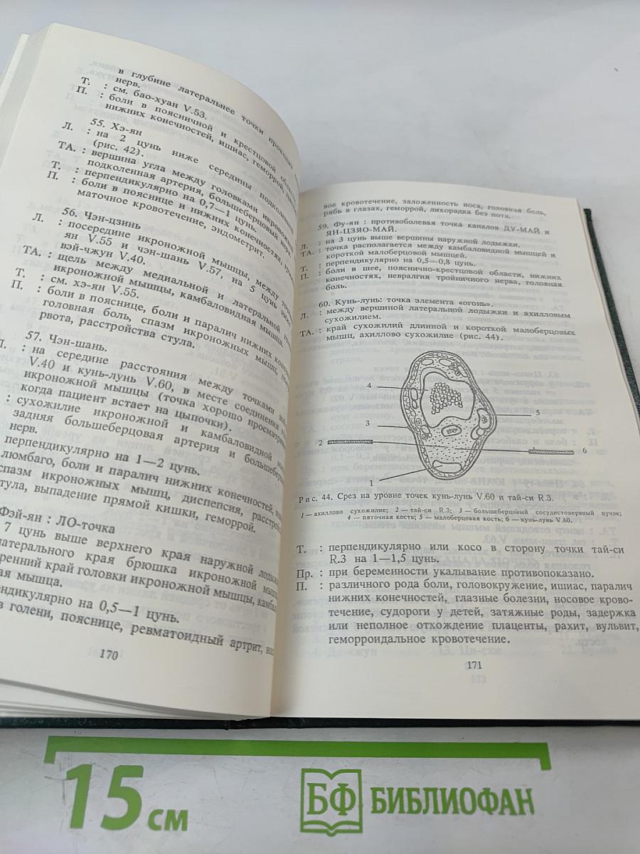 Основы Чжень-Цзю терапии