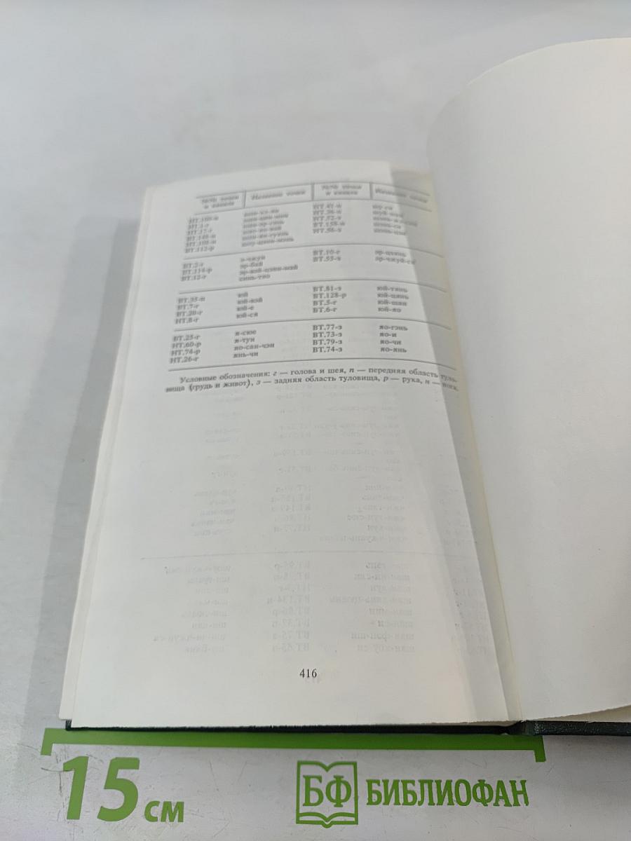 Основы Чжень-Цзю терапии