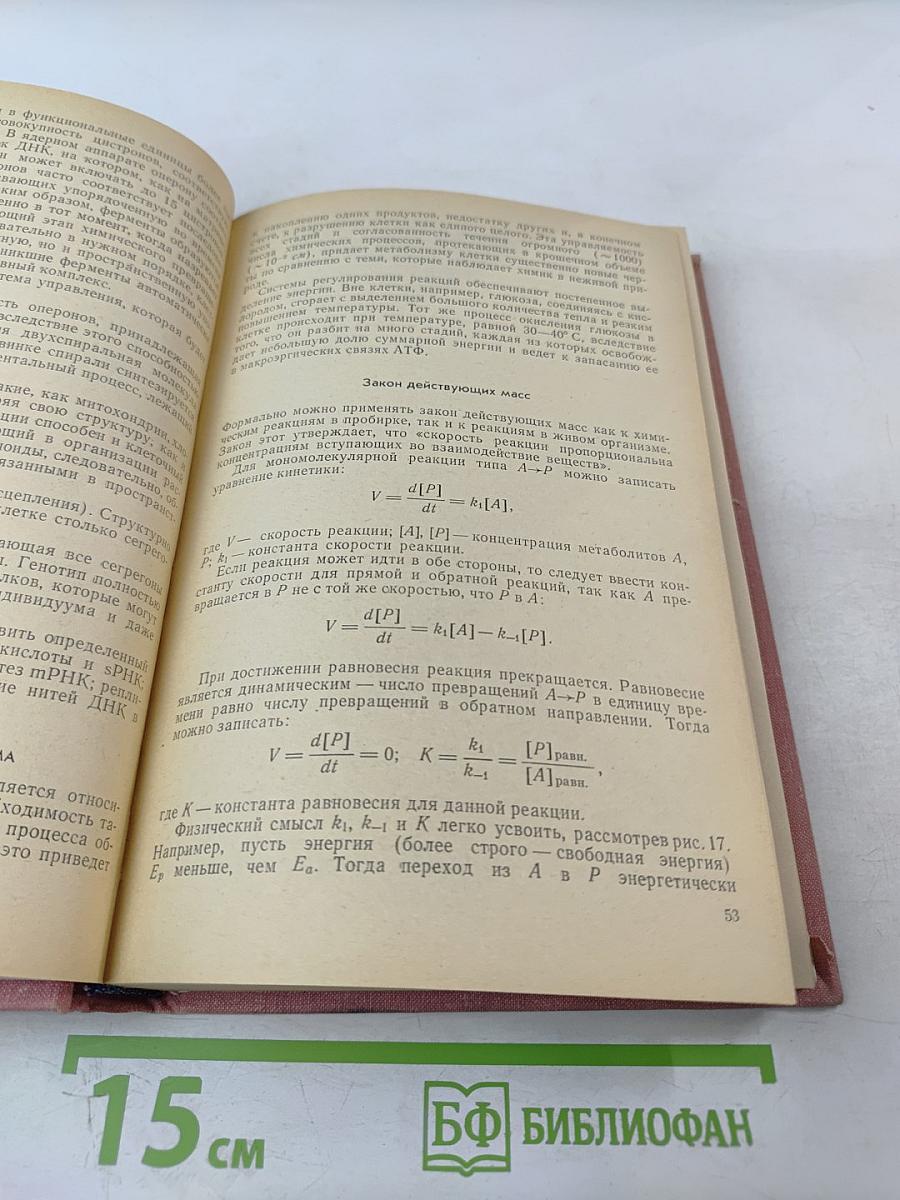 Биологическая кибернетика