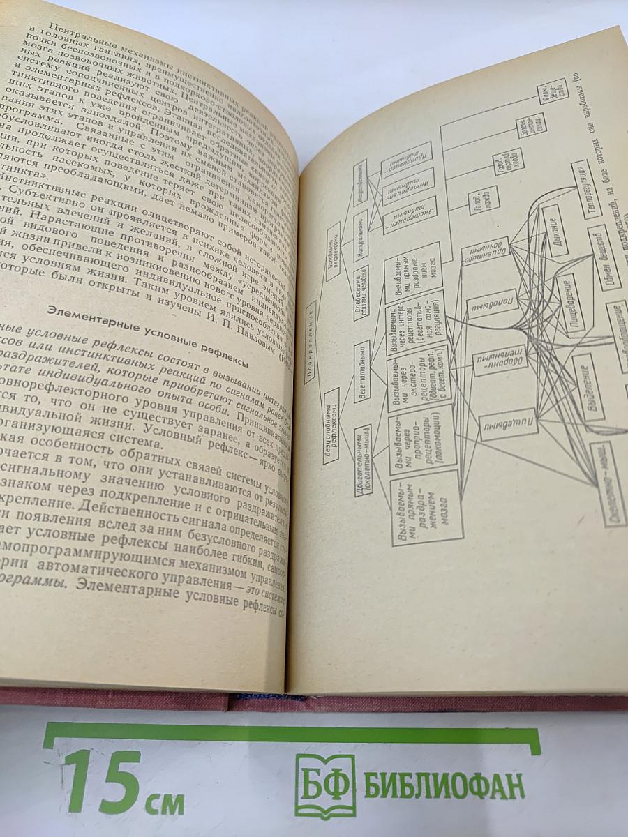 Биологическая кибернетика