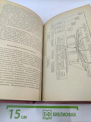 Биологическая кибернетика