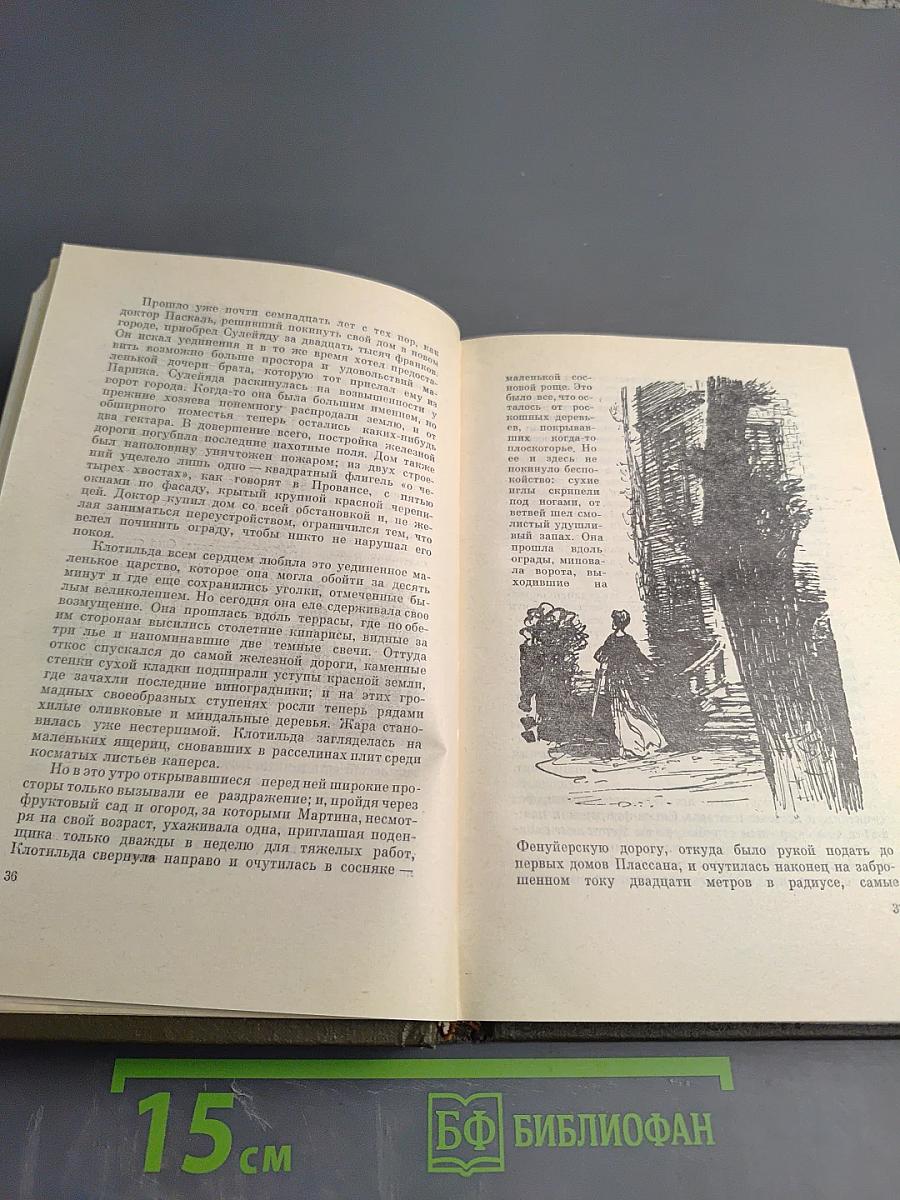 Доктор Паскаль. Собрание сочинений. Том шестнадцатый