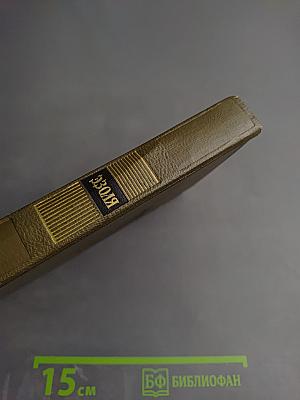 Доктор Паскаль. Собрание сочинений. Том шестнадцатый