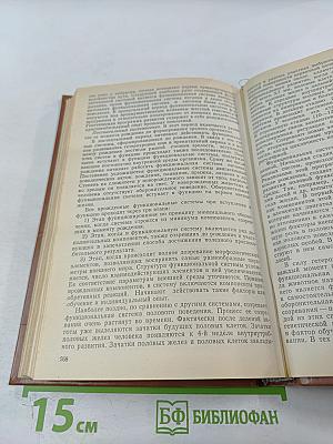 Основы физиологии функциональных систем