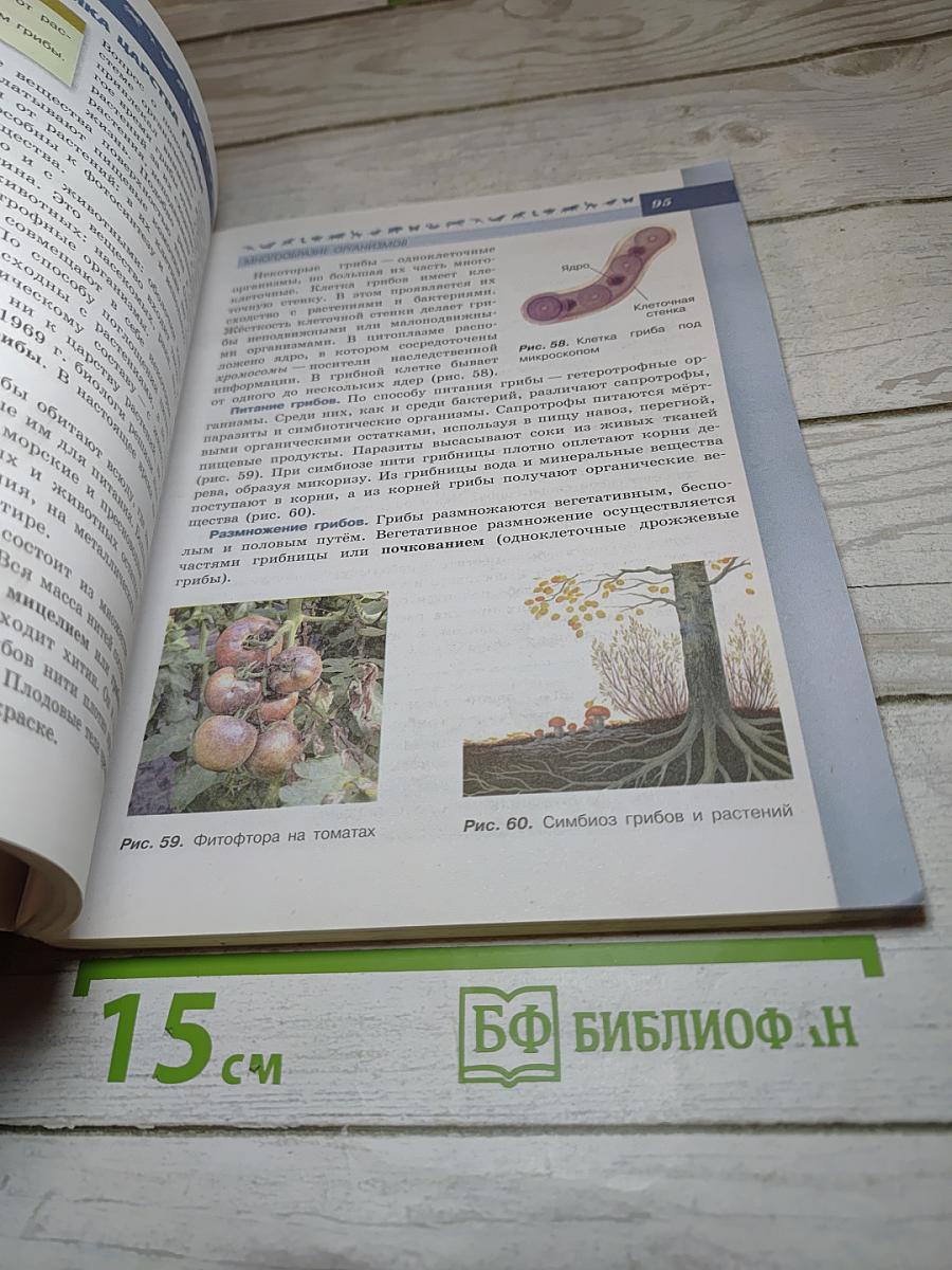 Биология 5-6 классы