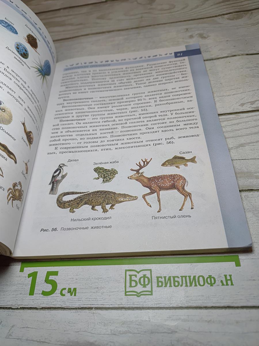 Биология 5-6 классы