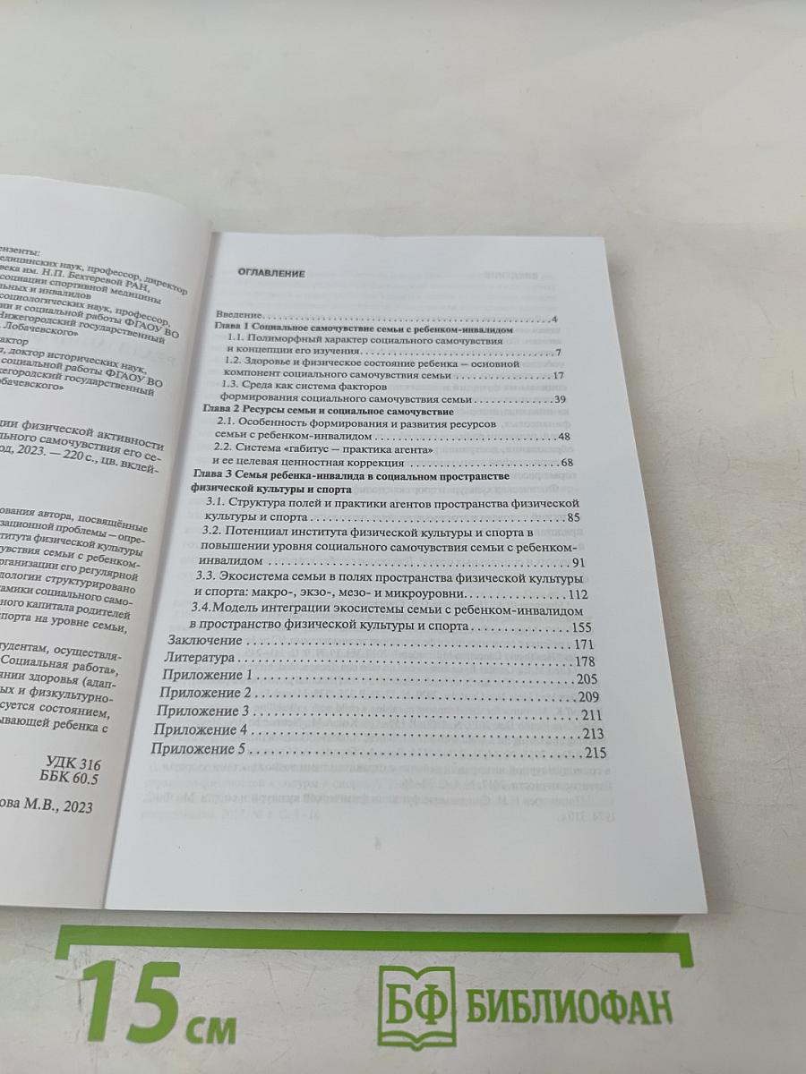 Интегративная модель реализации физической активности ребенка-инвалида как ресурс социального самочувствия его семьи