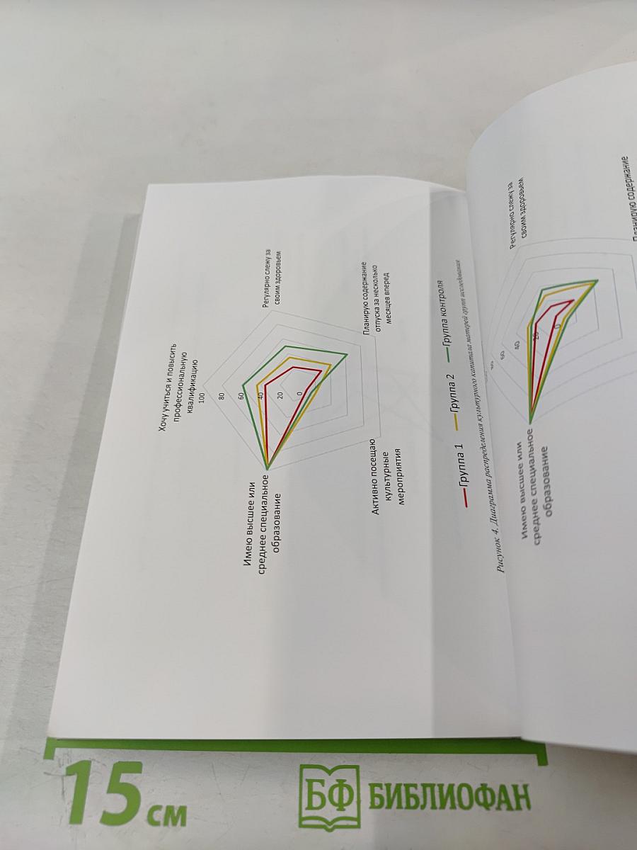 Интегративная модель реализации физической активности ребенка-инвалида как ресурс социального самочувствия его семьи