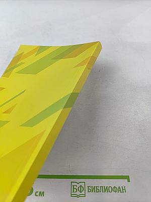 Интегративная модель реализации физической активности ребенка-инвалида как ресурс социального самочувствия его семьи