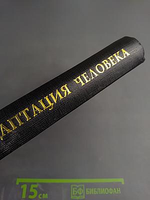 Адаптация человека