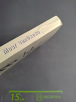 Мозг человека в механизмах информационно-управляющих взаимодействий организма и среды обитания
