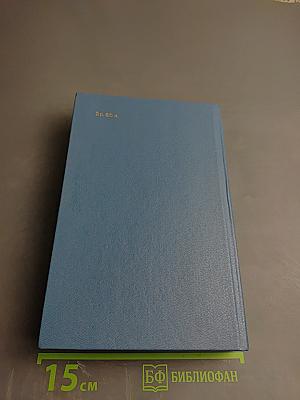 Далекий век