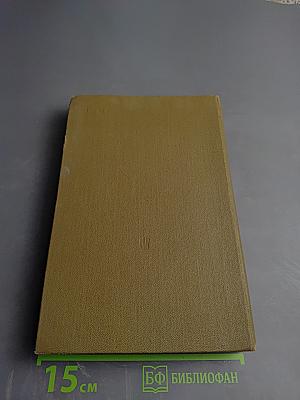 Искусство Западной Европы. Книга для чтения