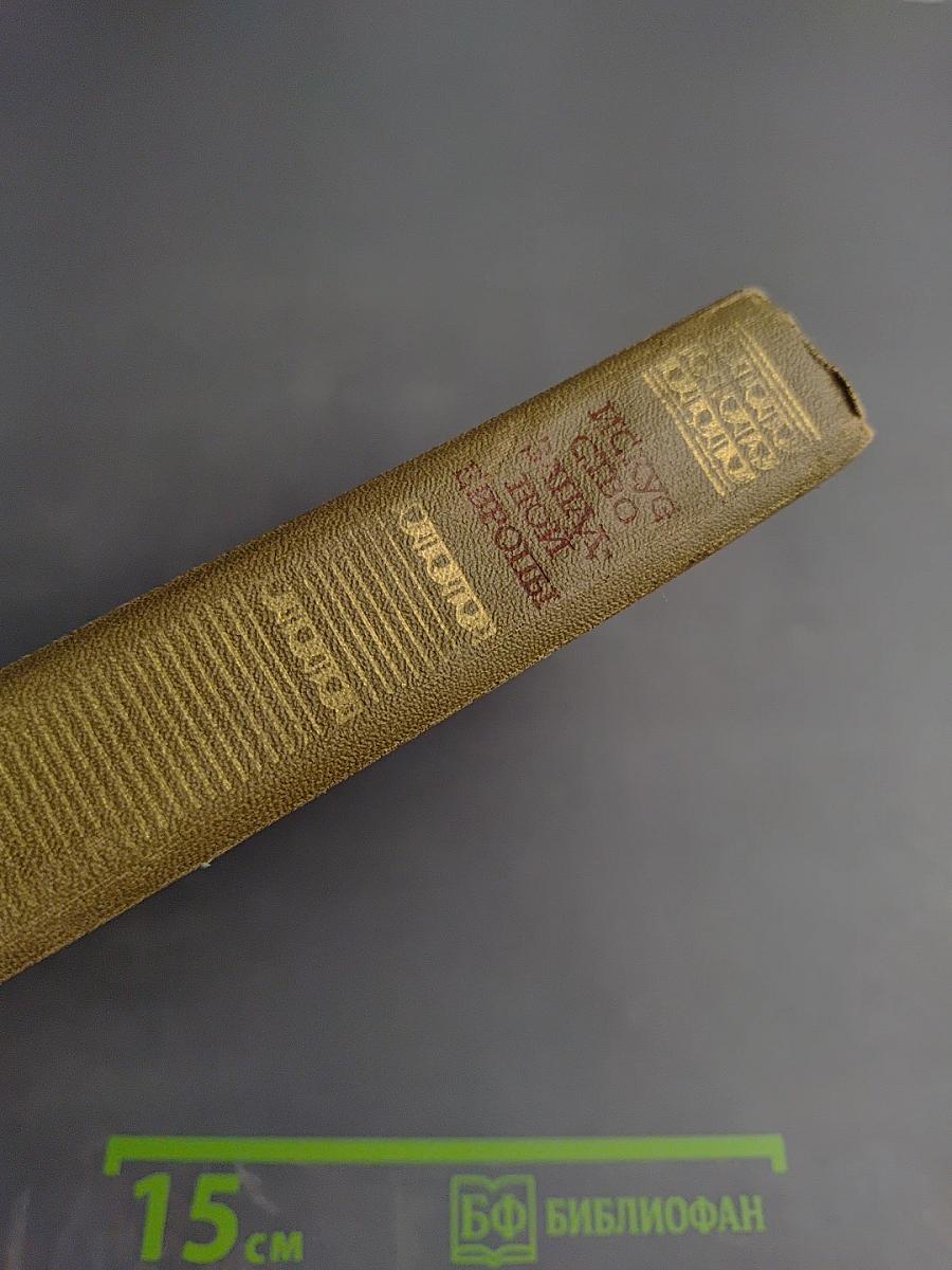 Искусство Западной Европы. Книга для чтения