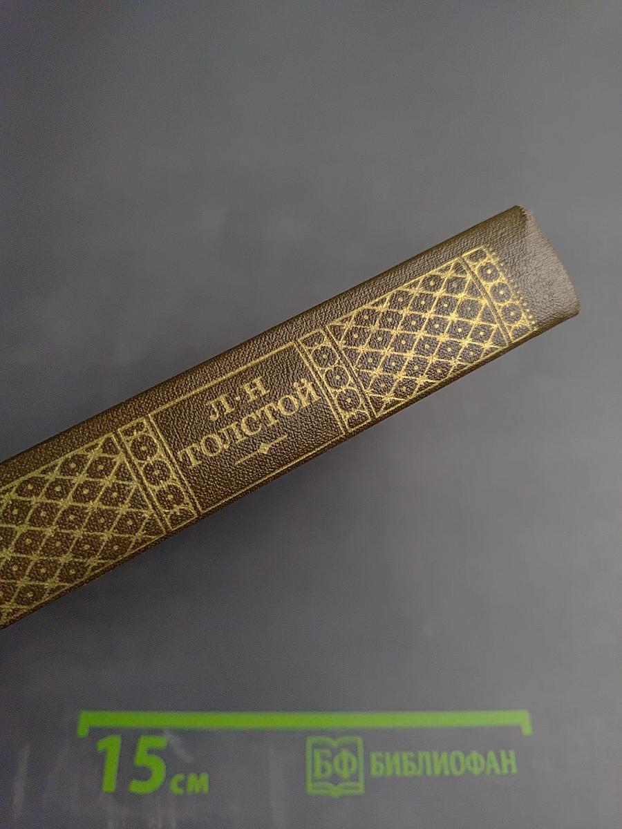 Война и мир. Том 7