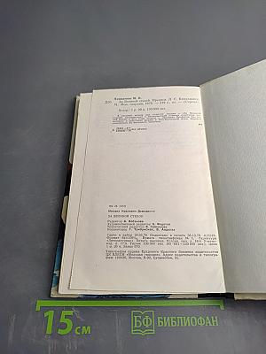 За Великой Стеной