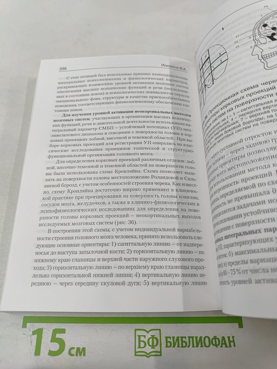 Мозг человека в механизмах информационно-управляющих взаимодействий организма и среды обитания