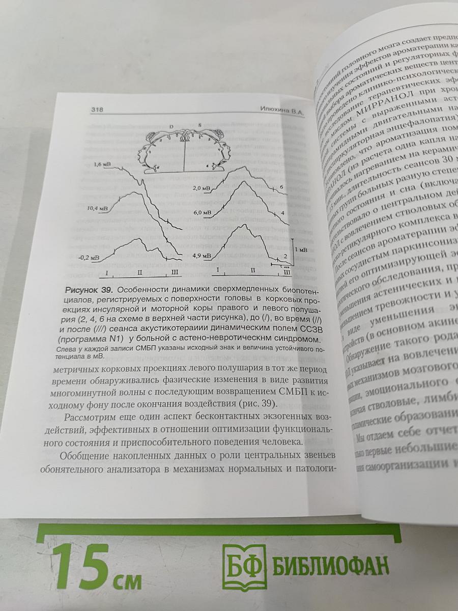 Мозг человека в механизмах информационно-управляющих взаимодействий организма и среды обитания