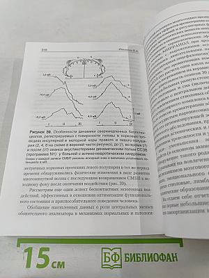 Мозг человека в механизмах информационно-управляющих взаимодействий организма и среды обитания