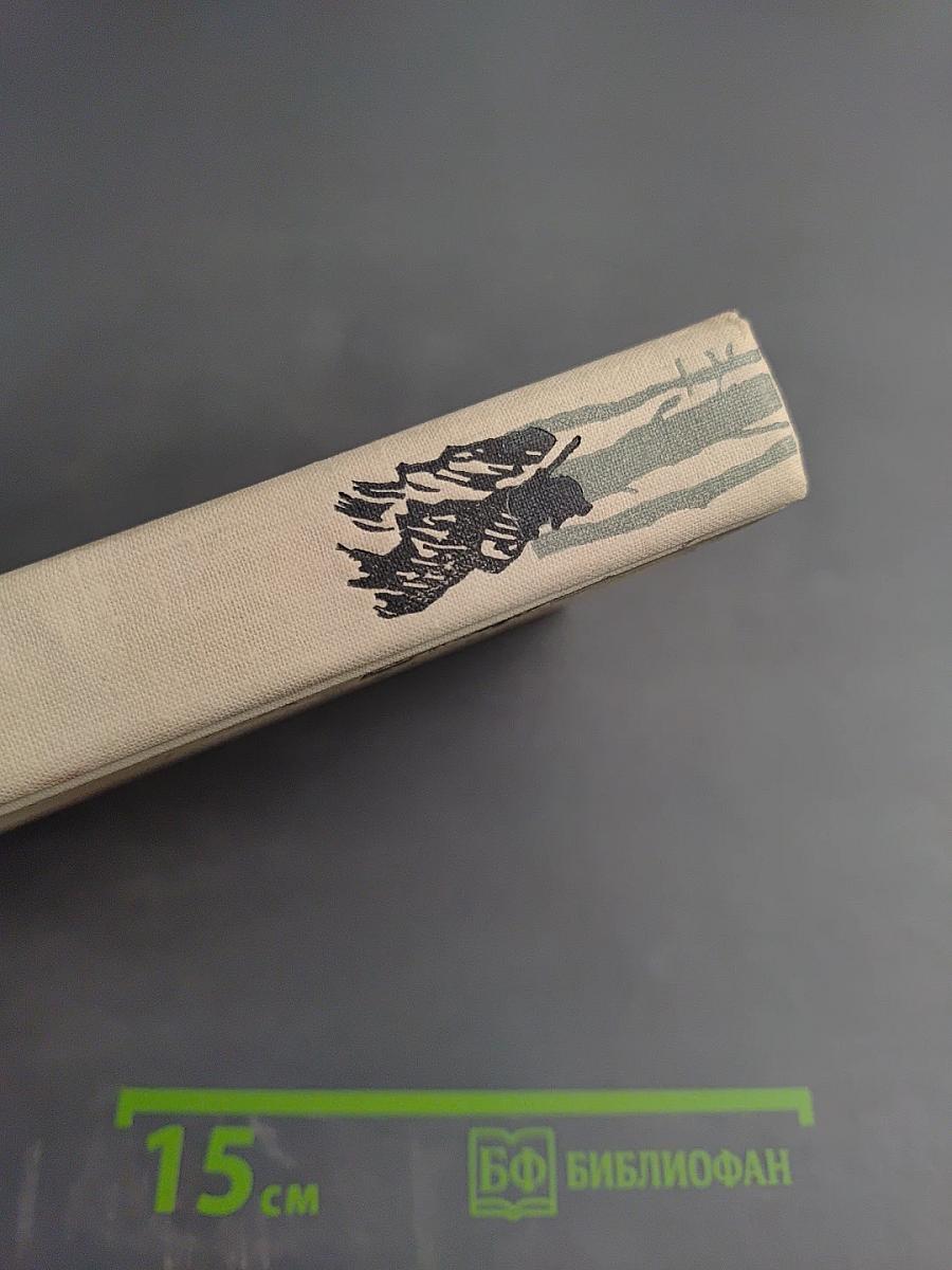 Операция "С Новым годом!"