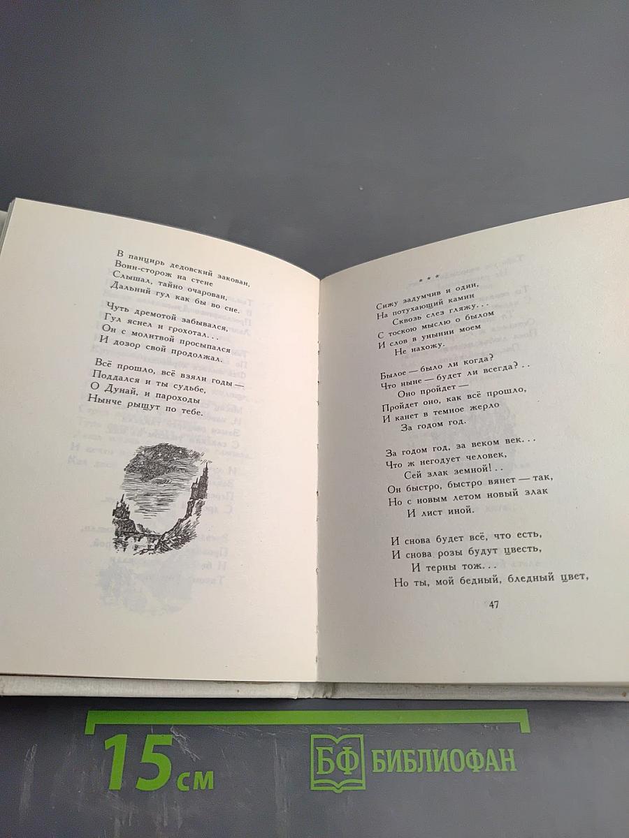 Весенние воды