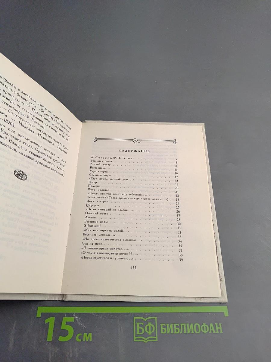 Весенние воды