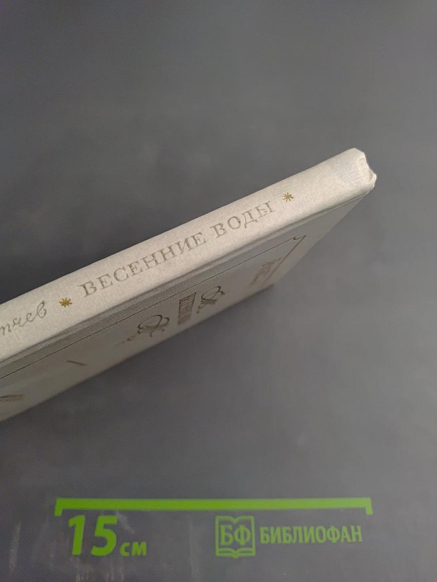 Весенние воды