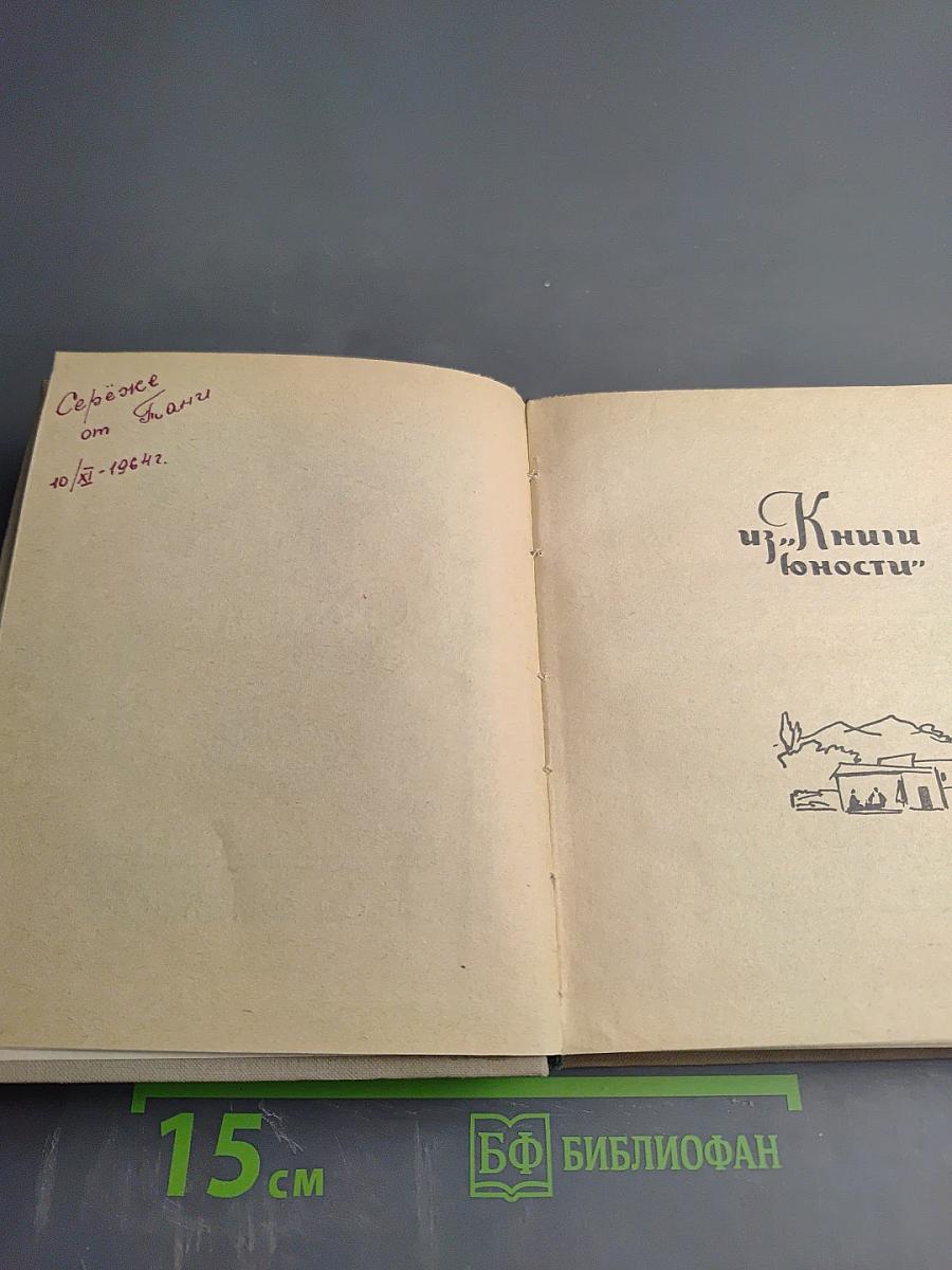 Из книги юности. Рассказы