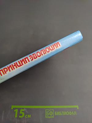 Принцип эволюции