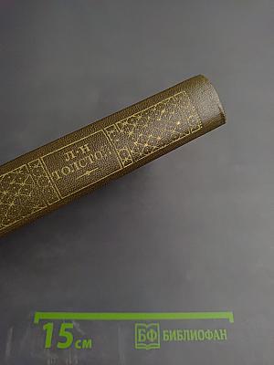 Анна Каренина. Том 8 (части первая-четвертая)