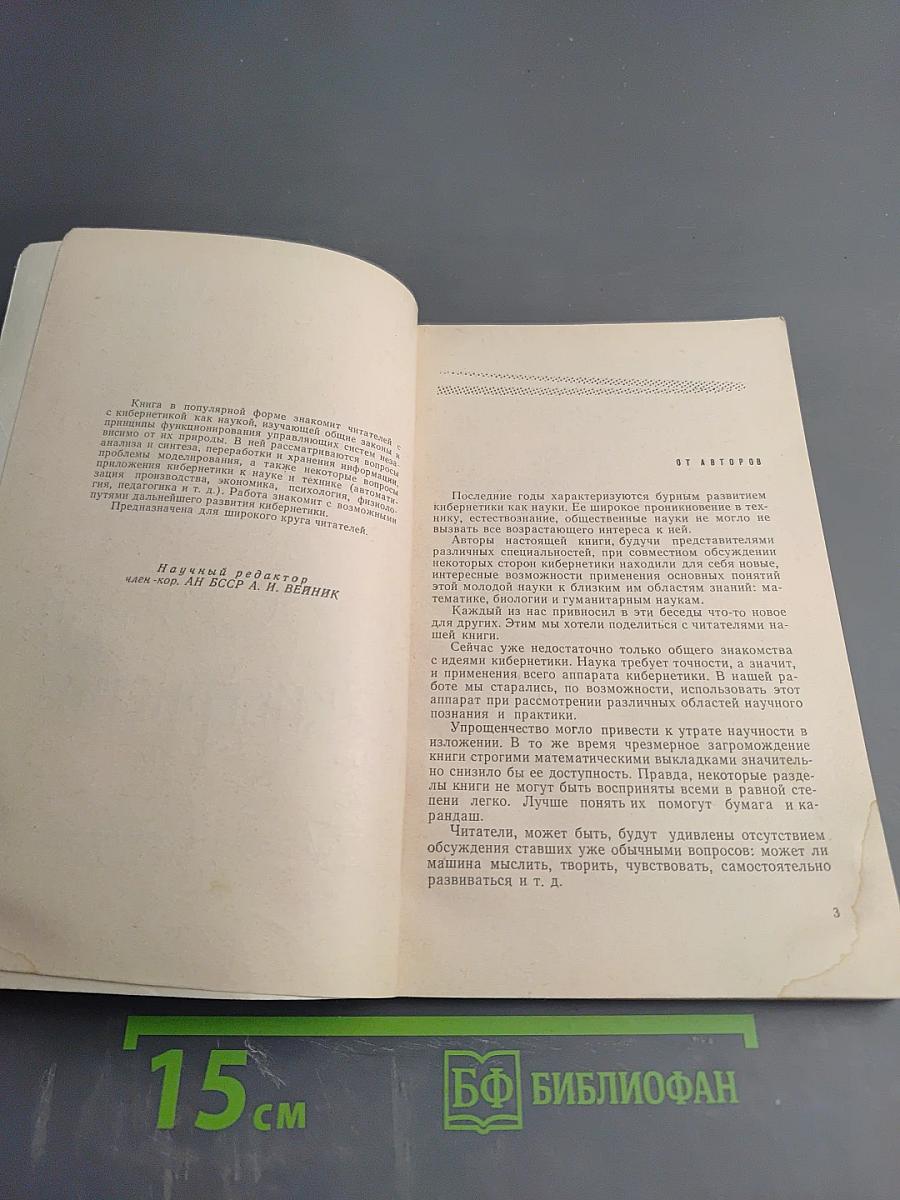 Очерки по кибернетике